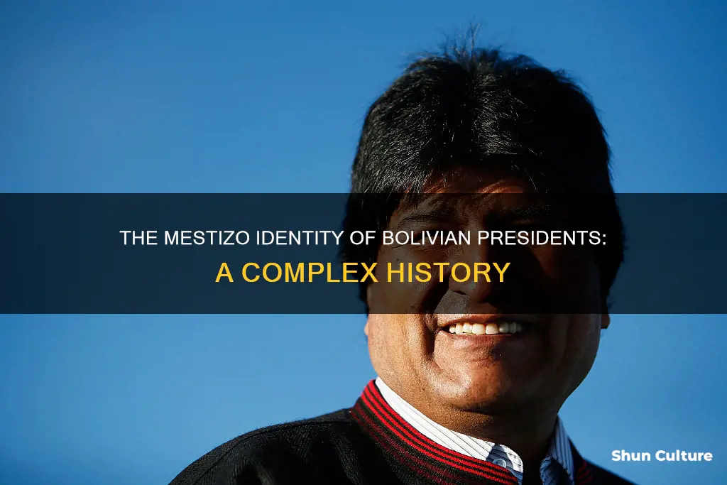 is bolivian president mestizo