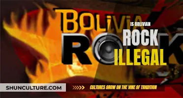 Bolivian Rock: A Musical Journey Through Legal Complexities