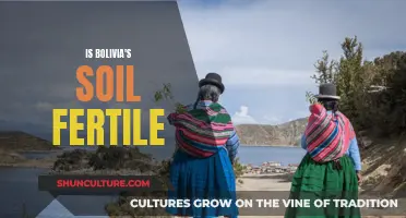 Bolivian Soil: Fertile or Not?