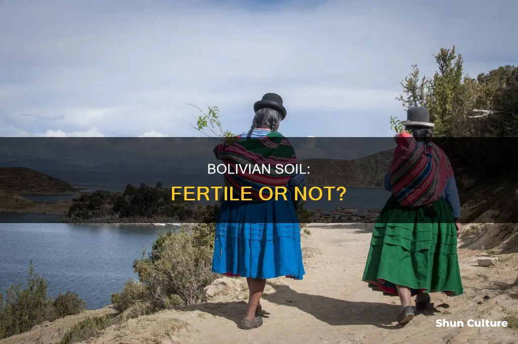 is bolivia