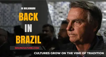 Bolsonaro's Return to Brazil: What Does It Mean for the Country's Future?
