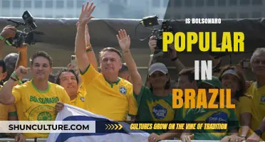 Bolsonaro's Popularity in Brazil: A Divisive Leadership