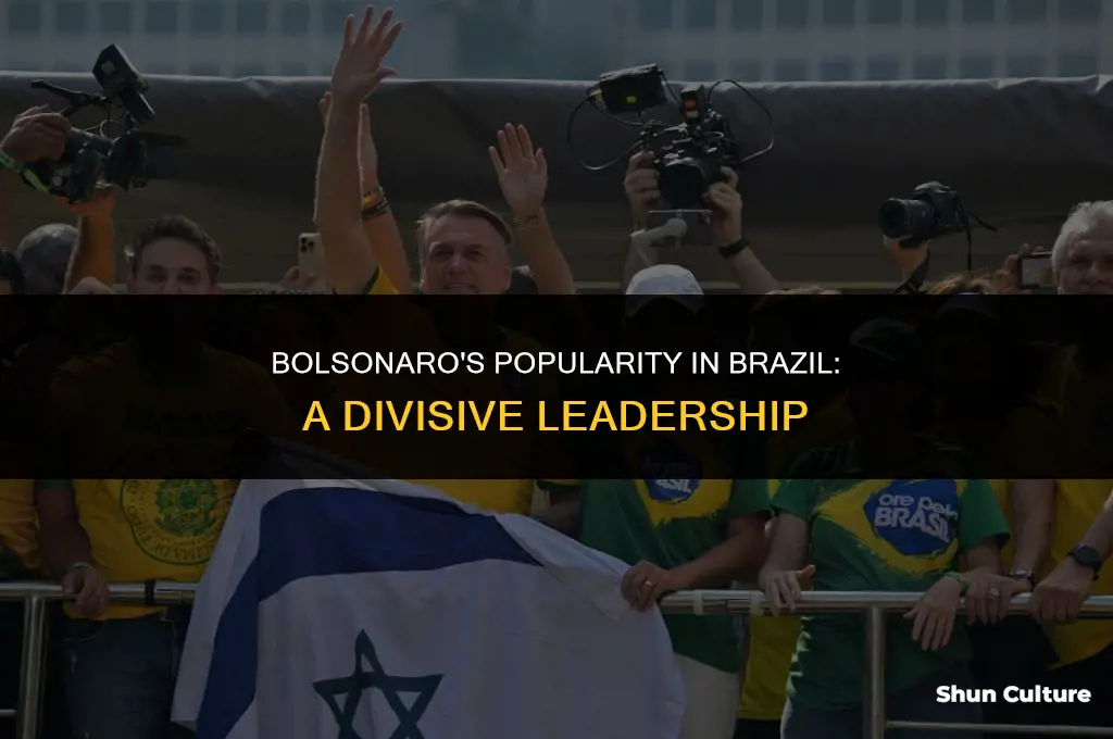 is bolsonaro popular in brazil