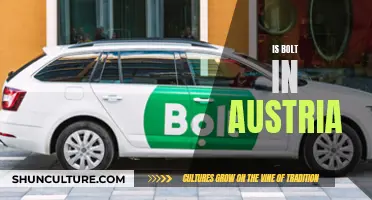 Bolt's Austrian Adventure: Exploring a New Country