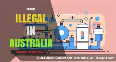 Bong Legality in Australia: What's the Verdict?