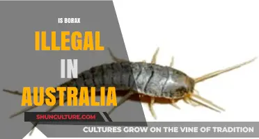 Borax in Australia: What's the Deal?