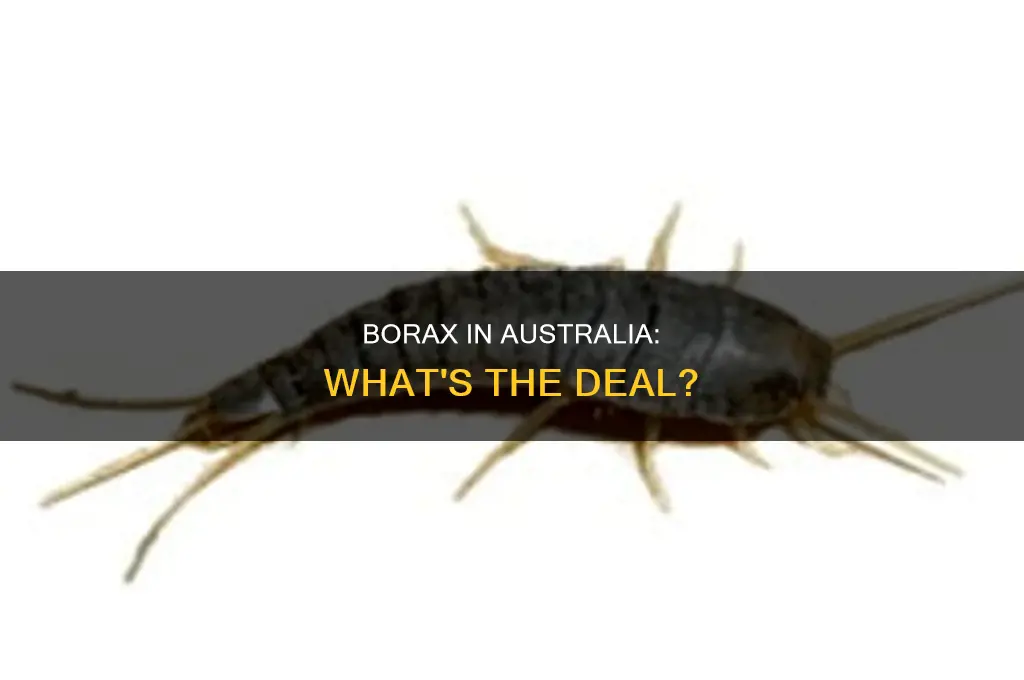 is borax illegal in australia