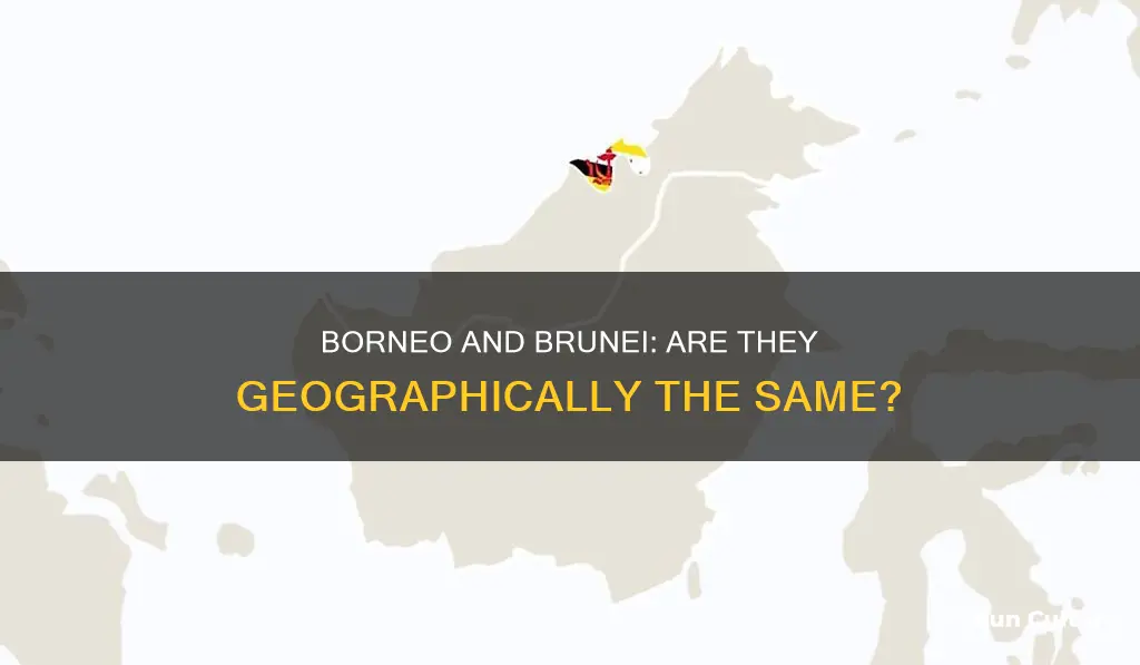 is borneo and brunei the same