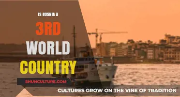 Is Bosnia a Third World Country? Exploring Its Economic and Social Status