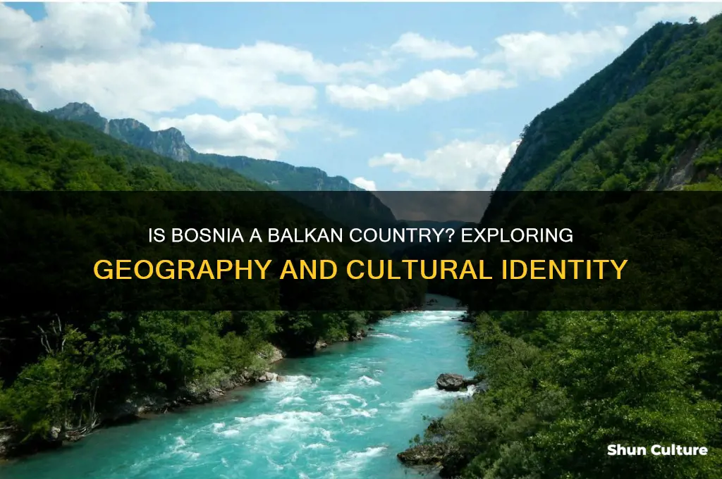 is bosnia a balkan country