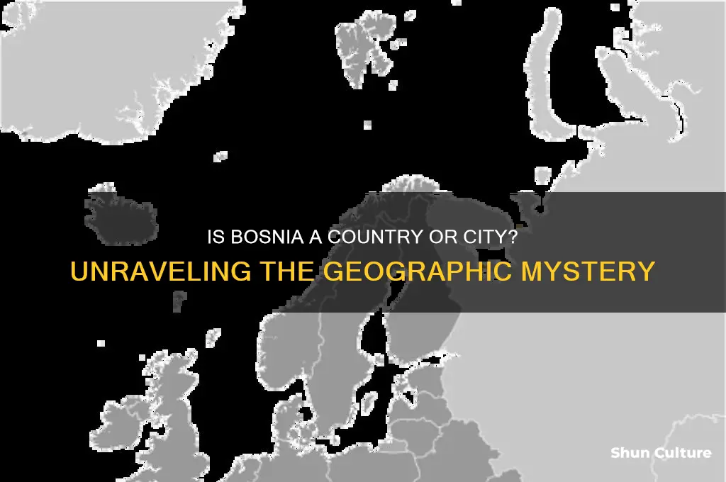 is bosnia a country or city