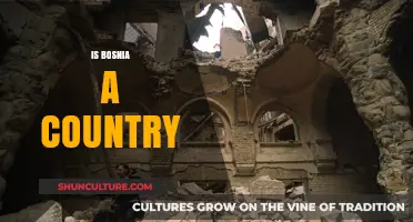 Is Bosnia a Country? Exploring Its Sovereignty and Global Recognition