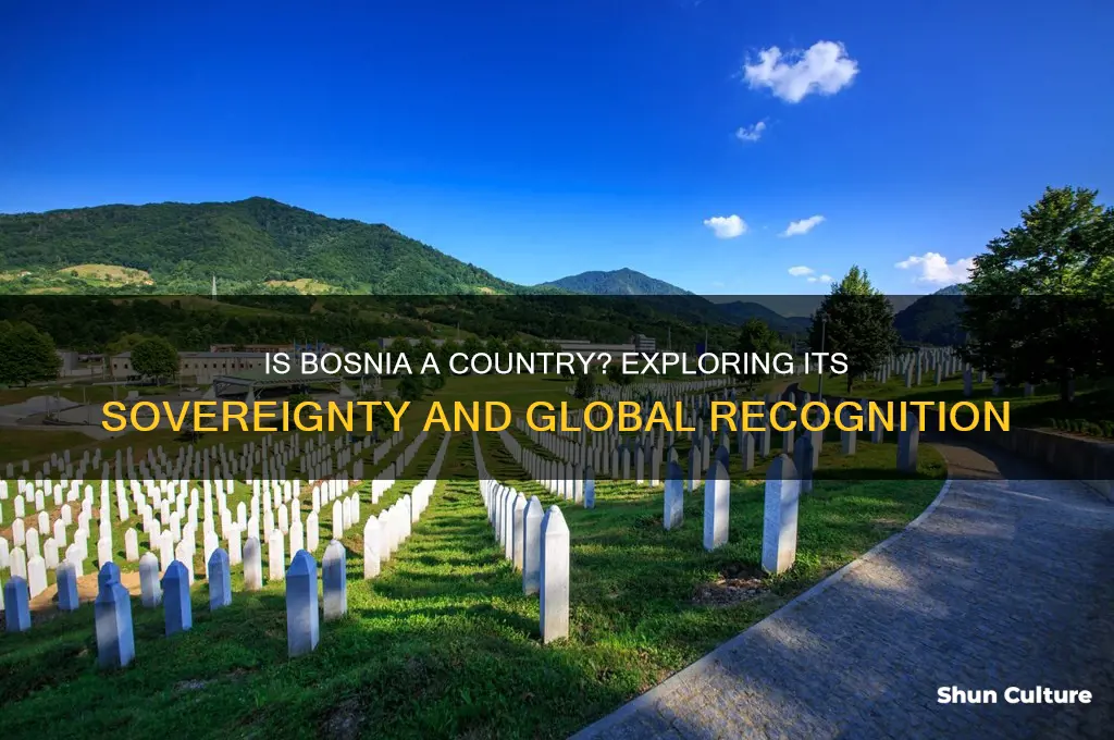 is bosnia a country