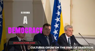 Is Bosnia a Democracy? Exploring Its Political System and Challenges