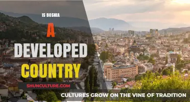 Is Bosnia a Developed Country? Exploring Its Economic and Social Status