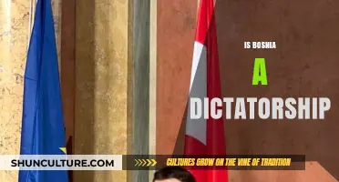 Is Bosnia a Dictatorship? Analyzing Its Political System and Governance
