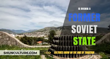 Bosnia and the Soviet Union: Unraveling Historical Misconceptions and Facts