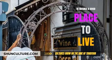 Discovering Bosnia: Quality of Life, Culture, and Living Experience