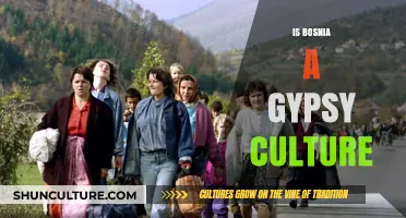 Exploring Bosnia's Cultural Diversity: Beyond the Gypsy Stereotype