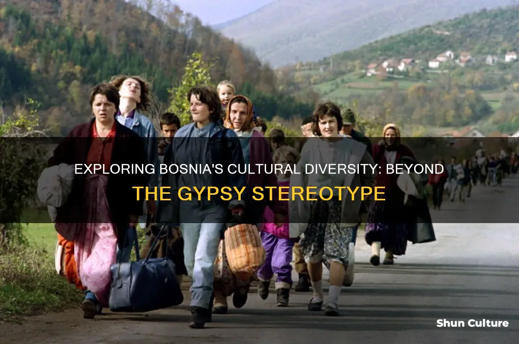 is bosnia a gypsy culture