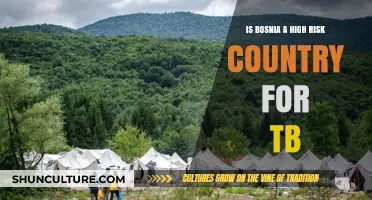 Is Bosnia a High-Risk Country for TB? Key Insights