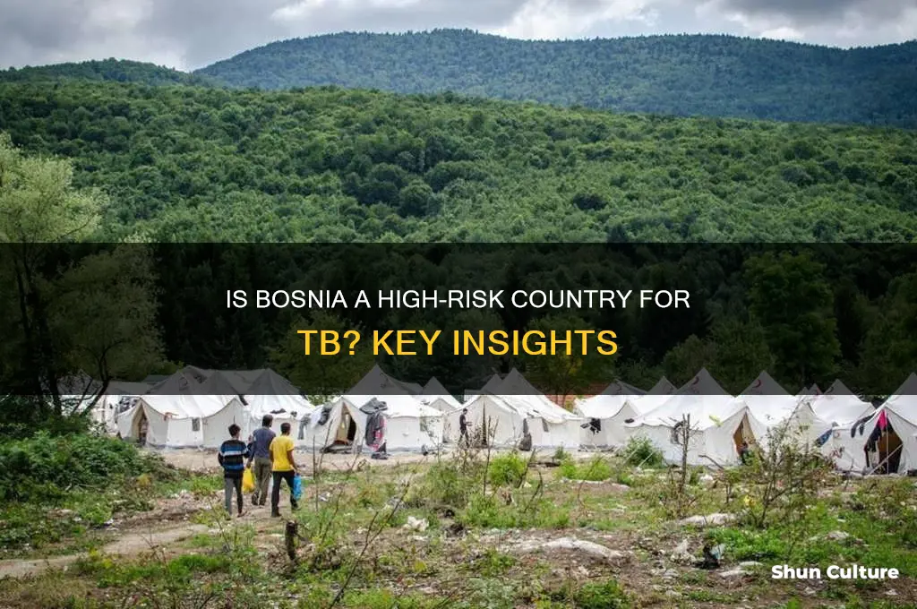 is bosnia a high risk country for tb