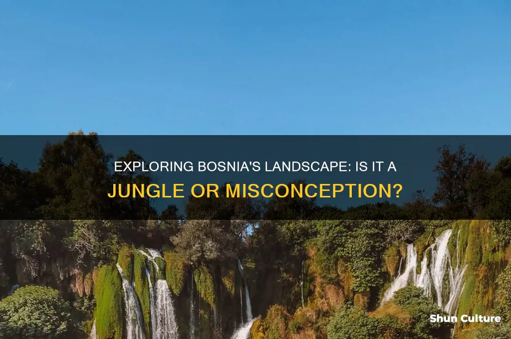 is bosnia a jungle