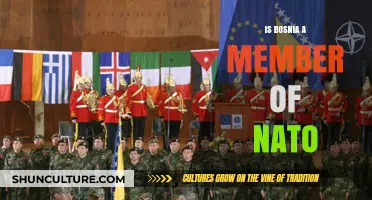 Is Bosnia a NATO Member? Exploring Its Current Status and Relations