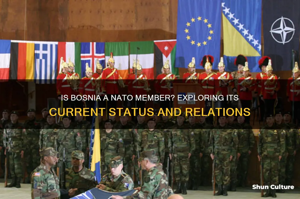 is bosnia a member of nato