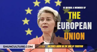 Is Bosnia on the Path to EU Membership? Current Status Explained