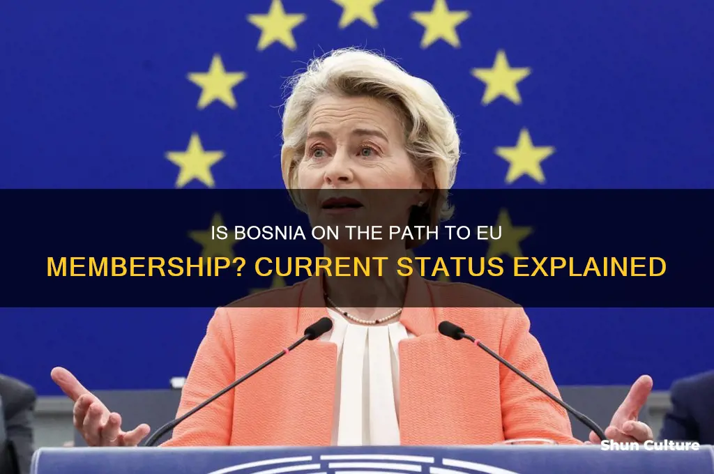 is bosnia a member of the european union