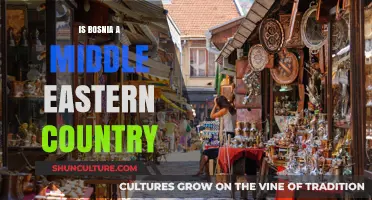 Is Bosnia a Middle Eastern Country? Exploring Geography and Culture