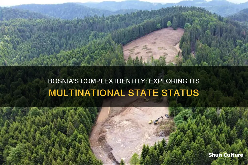 is bosnia a multinational state