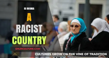 Bosnia's Racial Dynamics: Uncovering Prejudice and Tolerance in Society