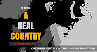 Is Bosnia a Real Country? Unraveling the Truth About Its Sovereignty