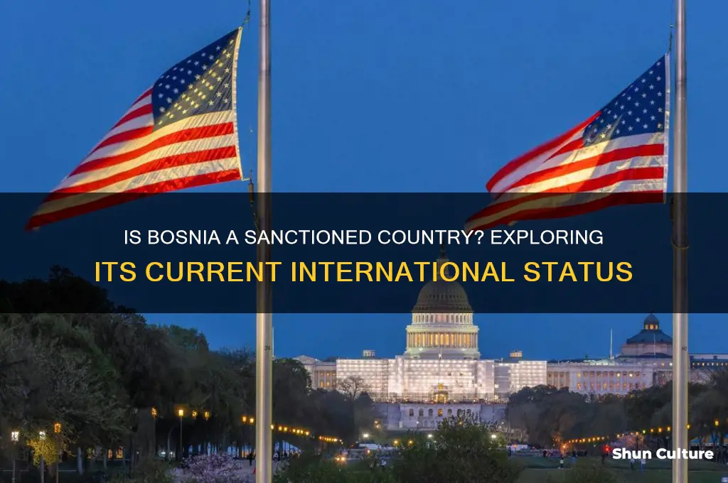 is bosnia a sanctioned country