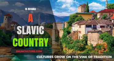 Is Bosnia a Slavic Country? Exploring Its Language, Culture, and History
