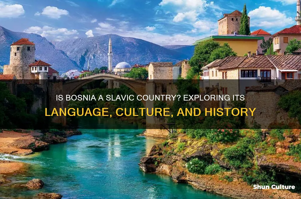 is bosnia a slavic country