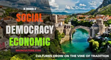 Bosnia's Economic Model: Exploring Social Democracy in Practice