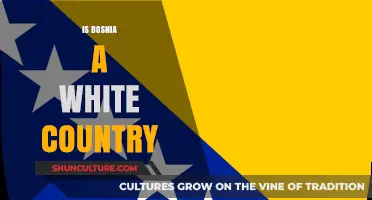 Bosnia's Ethnic Diversity: Debunking the 'White Country' Myth