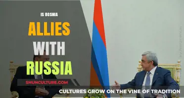 Bosnia's Complex Relations: Is There an Alliance with Russia?