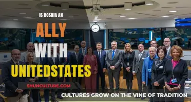 Bosnia and the U.S.: Allies or Strategic Partners?
