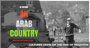 Is Bosnia an Arab Country? Exploring Cultural and Geographic Realities