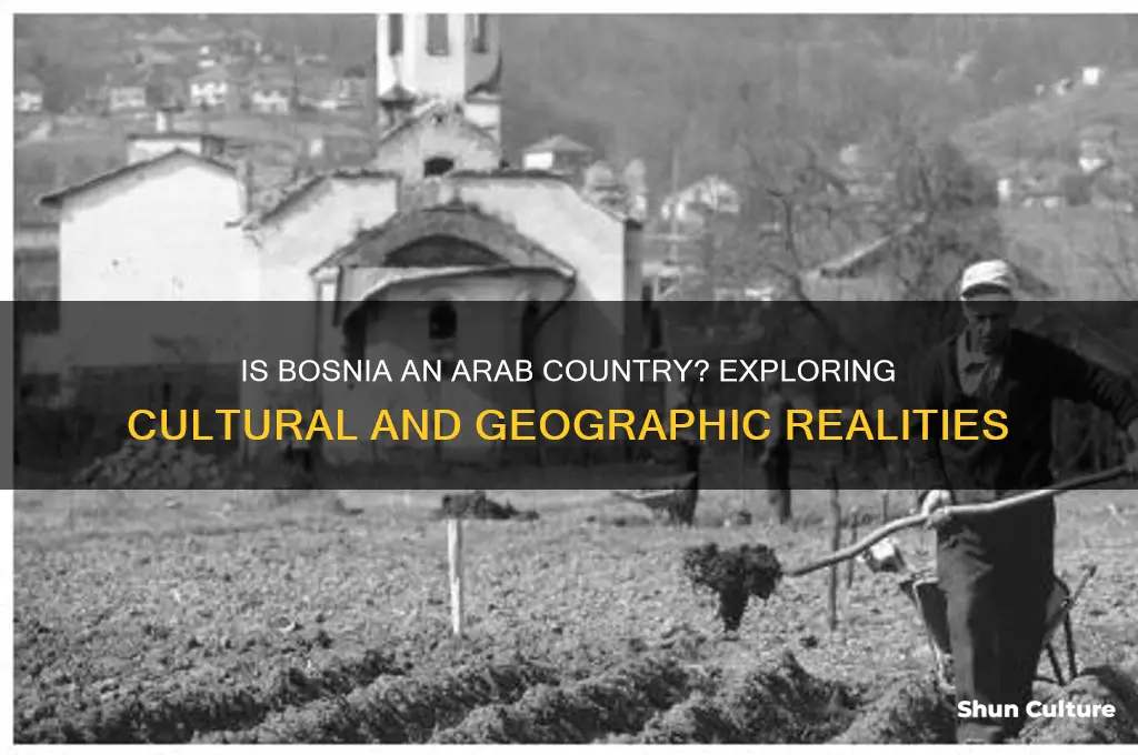 is bosnia an arab country