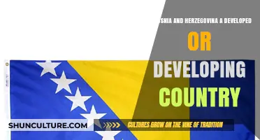 Bosnia and Herzegovina: Developed or Developing? Analyzing Its Economic Status