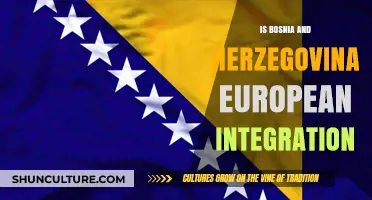 Bosnia and Herzegovina's European Integration: Challenges, Progress, and Future Prospects
