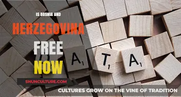 Bosnia and Herzegovina's Freedom: Current Status and Future Prospects