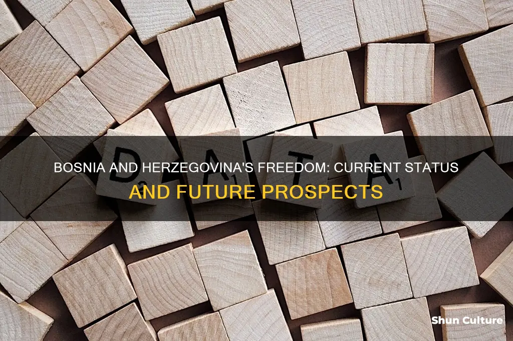 is bosnia and herzegovina free now