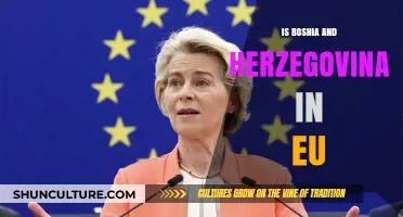 Is Bosnia and Herzegovina in the EU? Exploring Membership Status and Prospects