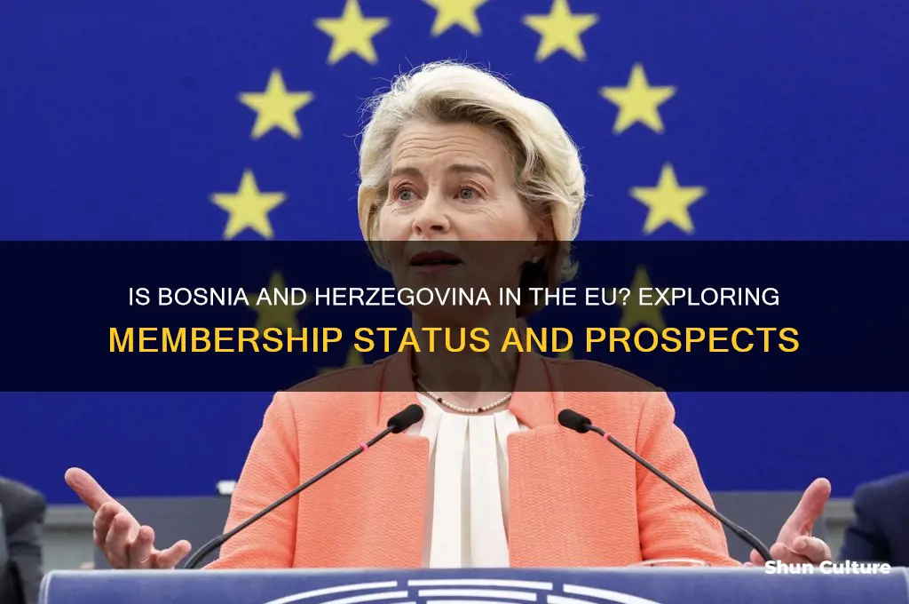 is bosnia and herzegovina in eu